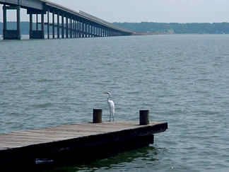 Lake Livingston in Texas